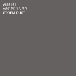 #666161 - Storm Dust Color Image